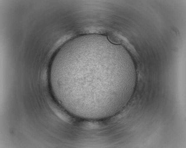 X0000111020250200907022204