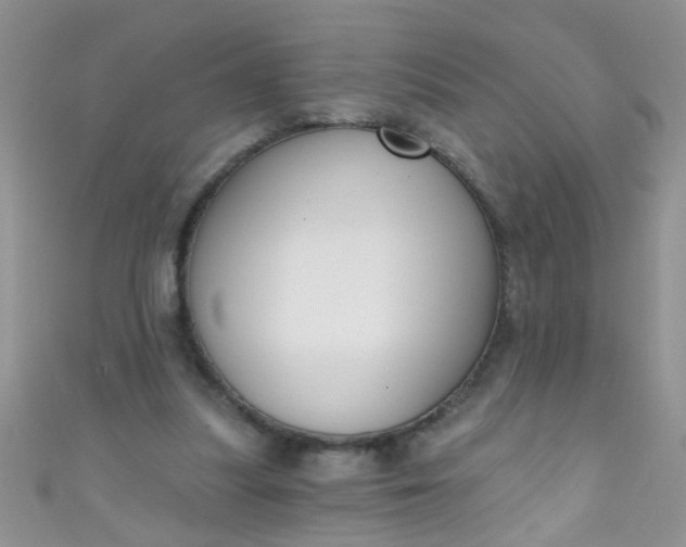 X0000111020251200907022204