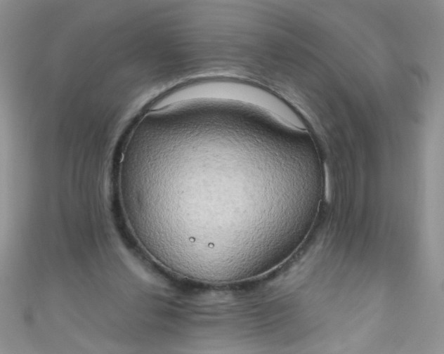 X0000111020252200907022204