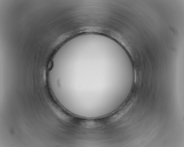 X0000111020253200907022204