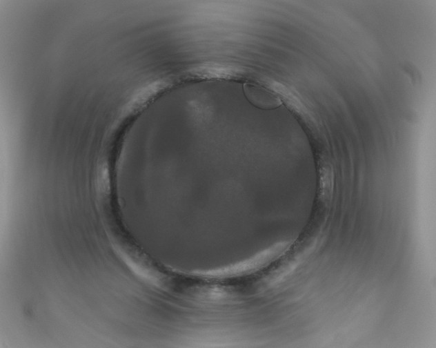 X0000111020254200907022204