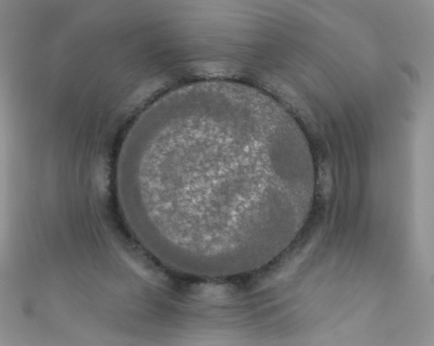 X0000111020255200907022204
