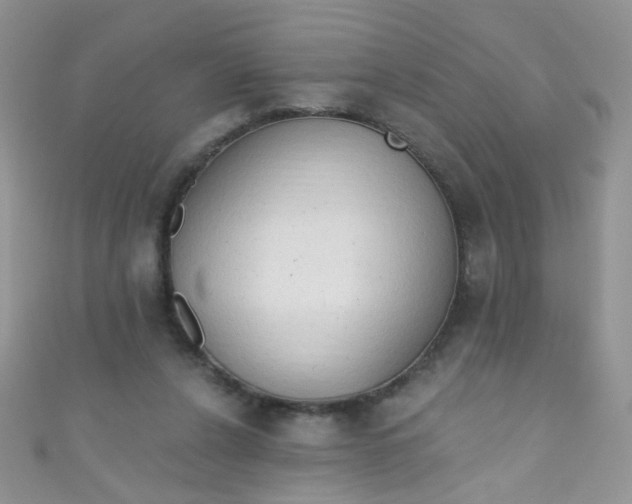 X0000111020256200907022205