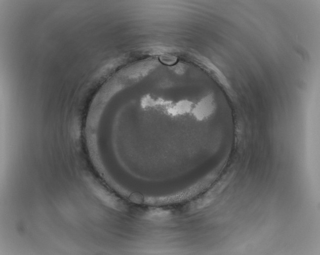 X0000111020257200907022205