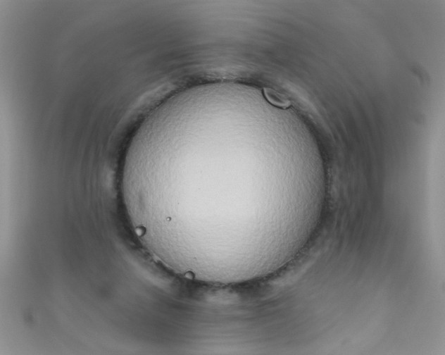 X0000111020258200907022205