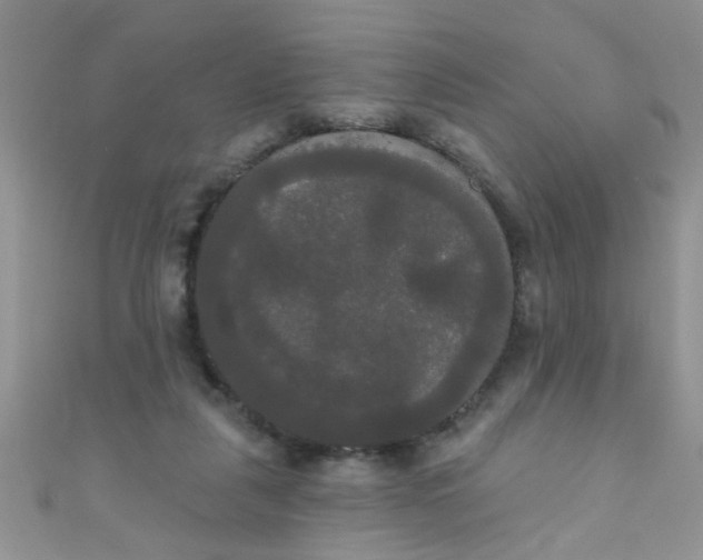 X0000111020259200907022205