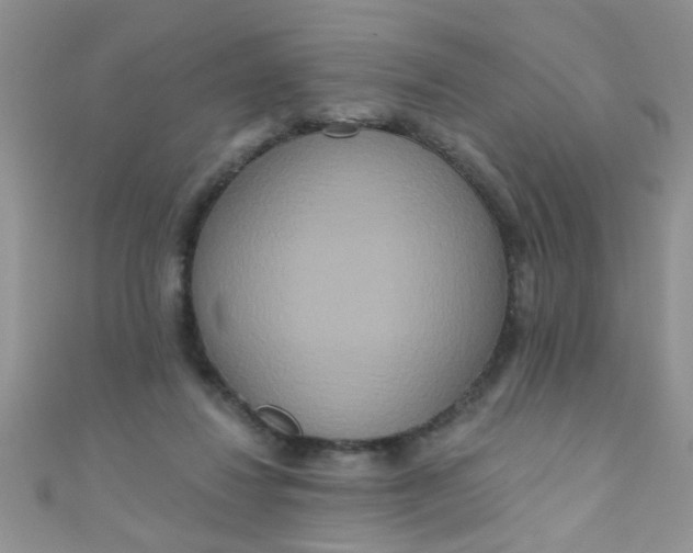 X0000111020260200907022205