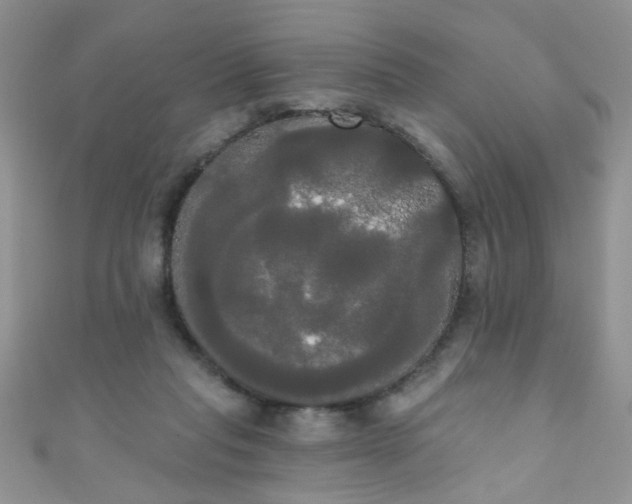 X0000111020261200907022205