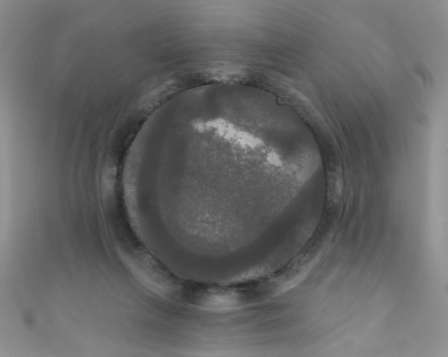 X0000111020263200907022205