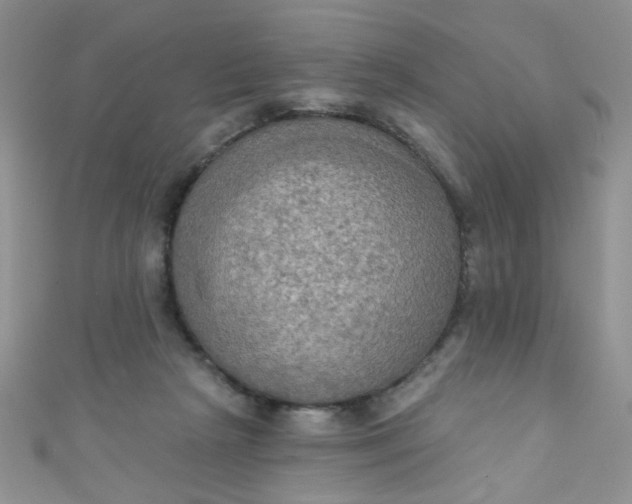 X0000111020265200907022205