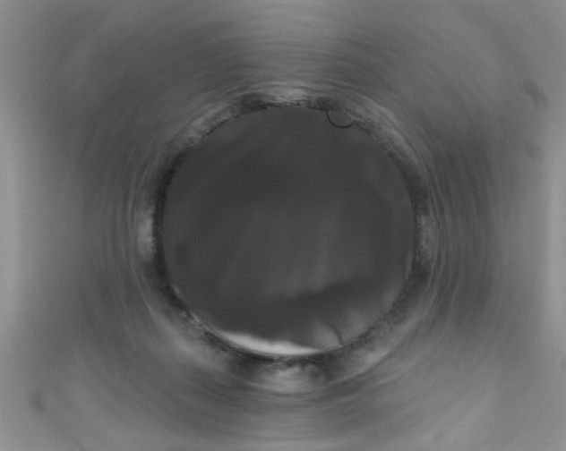 X0000111020267200907022205