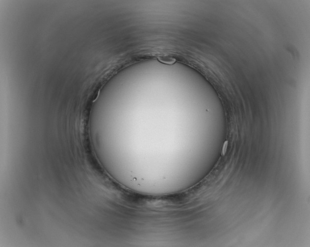 X0000111020268200907022205