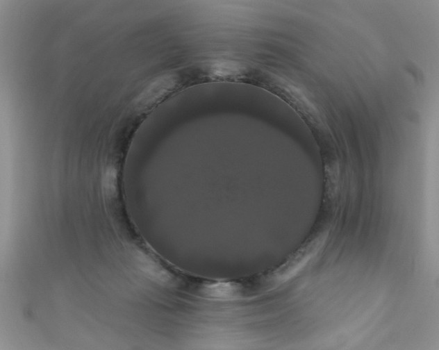 X0000111020269200907022205