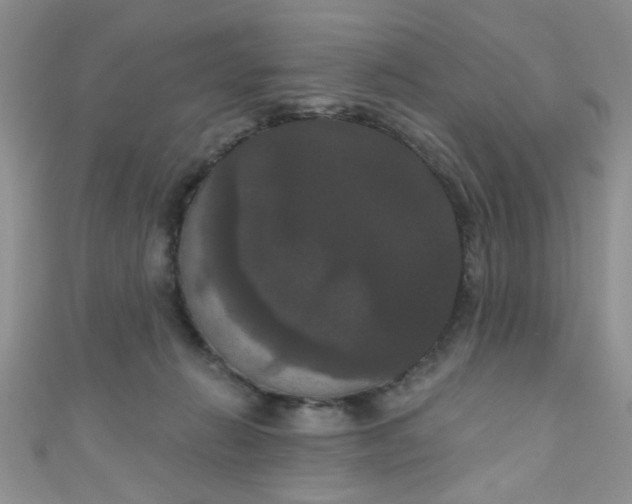 X0000111020270200907022205