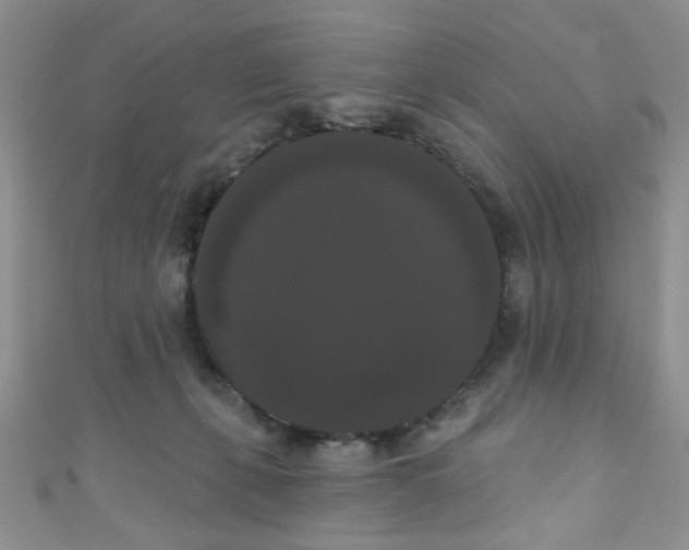 X0000111020271200907022205