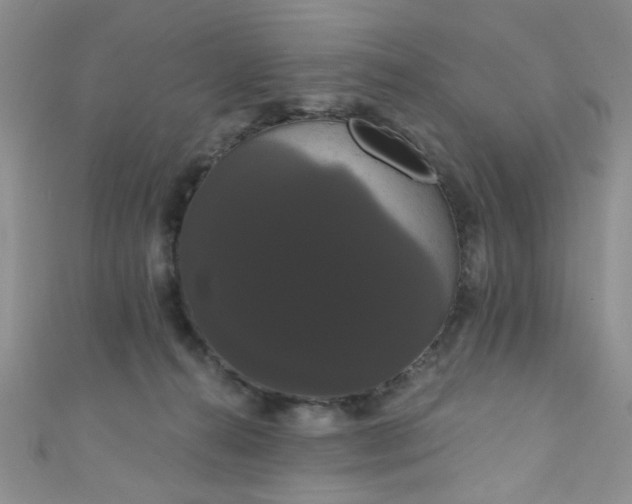 X0000111020272200907022205