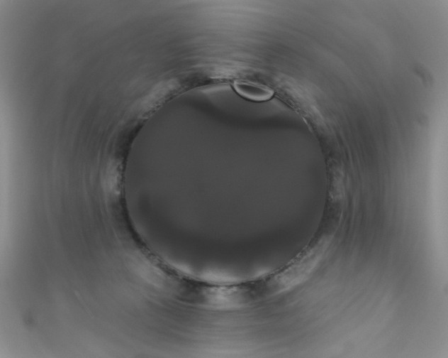 X0000111020273200907022205