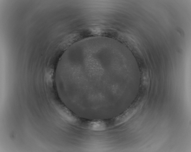 X0000111020275200907022205
