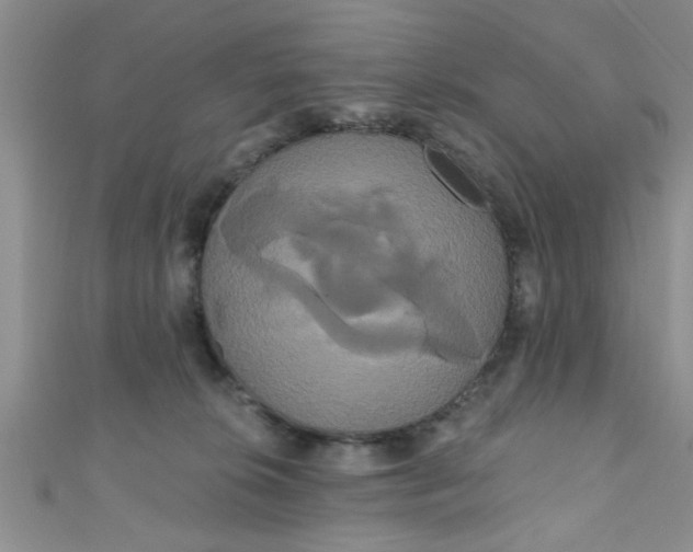 X0000111020276200907022205