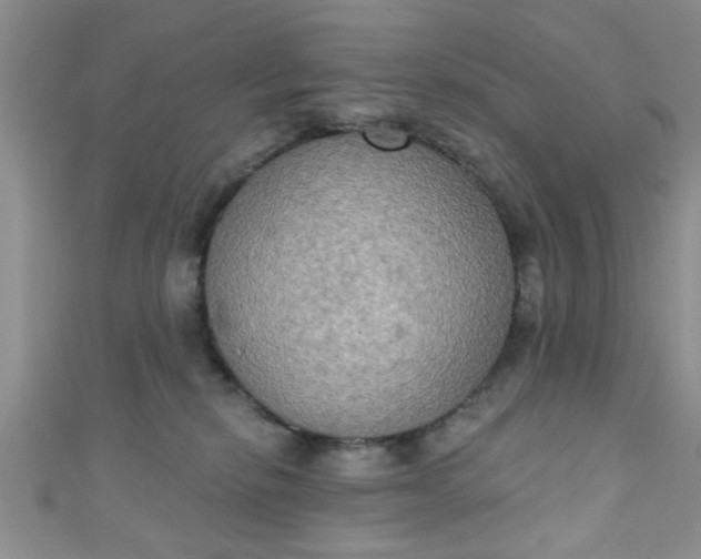 X0000111020278200907022205