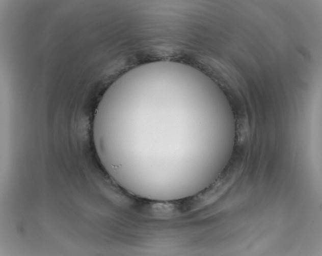 X0000111020279200907022205
