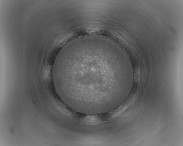 X0000111020280200907022205