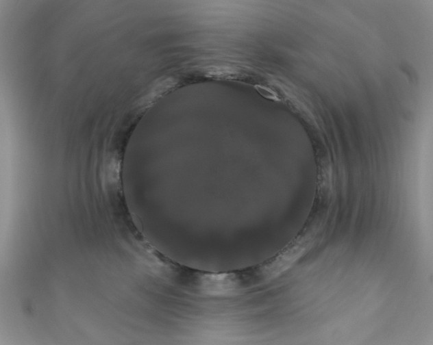 X0000111020281200907022205