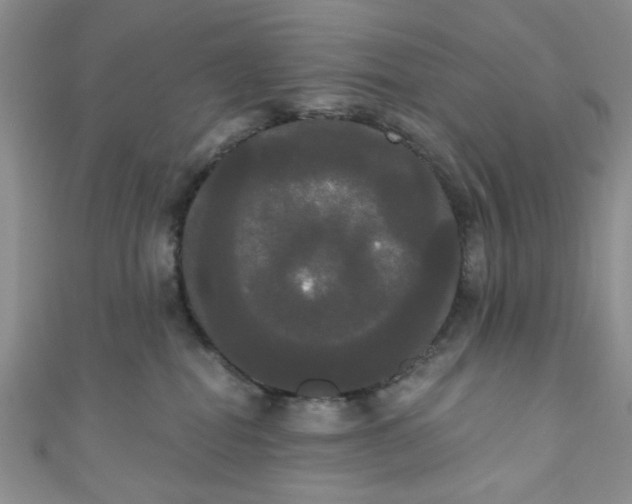 X0000111020282200907022205