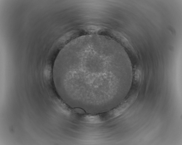 X0000111020283200907022205