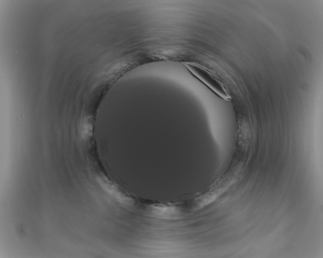 X0000111020284200907022205