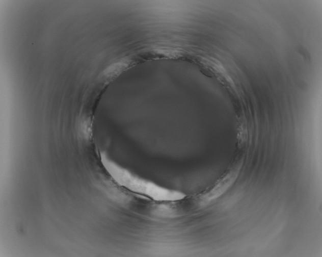 X0000111020285200907022205
