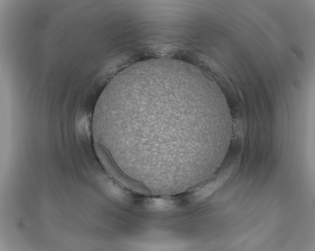 X0000111020286200907022205