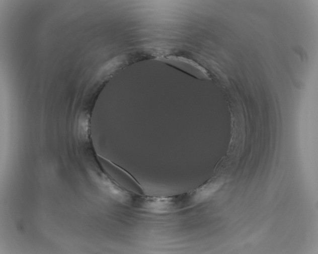 X0000111020288200907022205