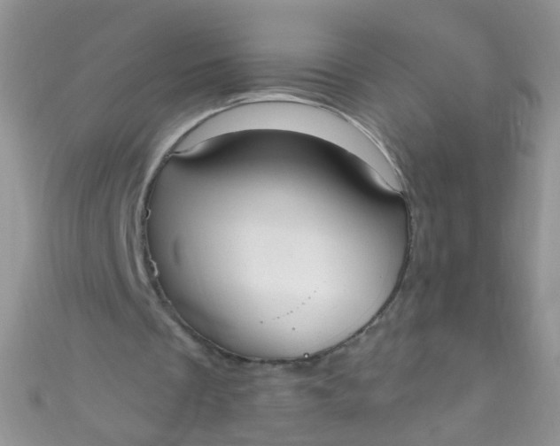 X0000111020289200907022204