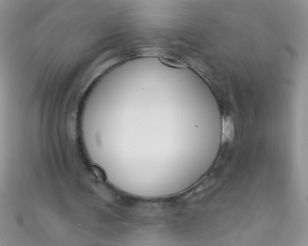 X0000111020291200907022204