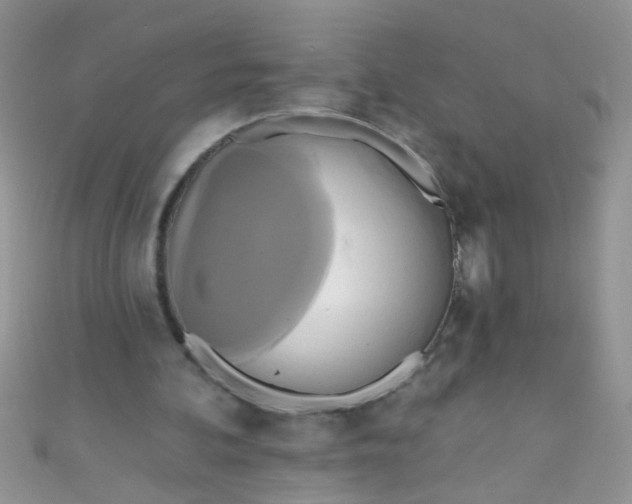 X0000111020292200907022204