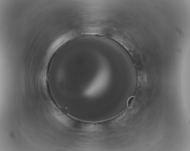 X0000111020293200907022204