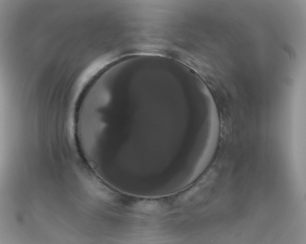 X0000111020294200907022204