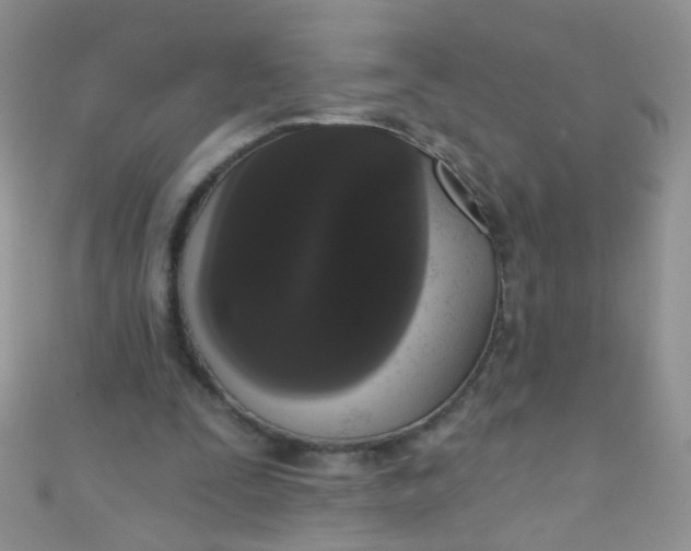 X0000111020295200907022204