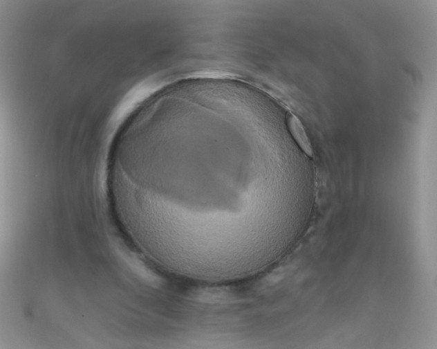 X0000111020296200907022204