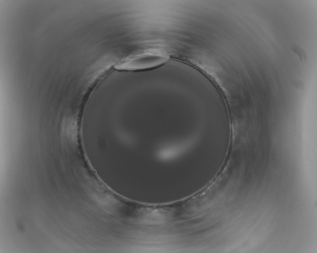 X0000111020297200907022204
