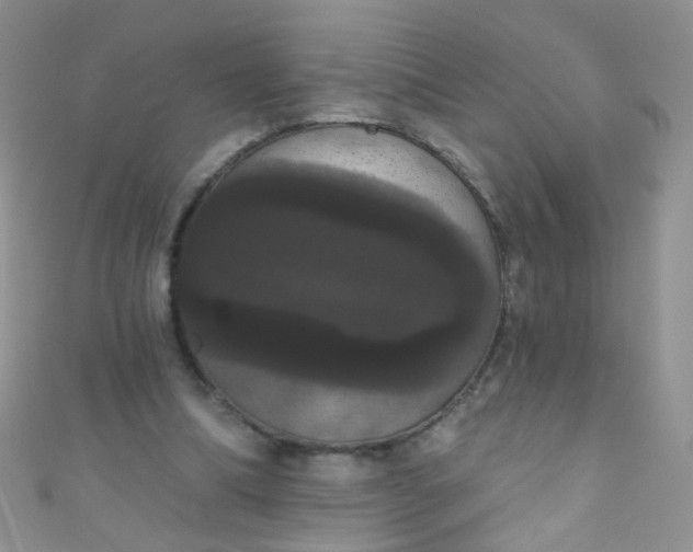 X0000111020298200907022204