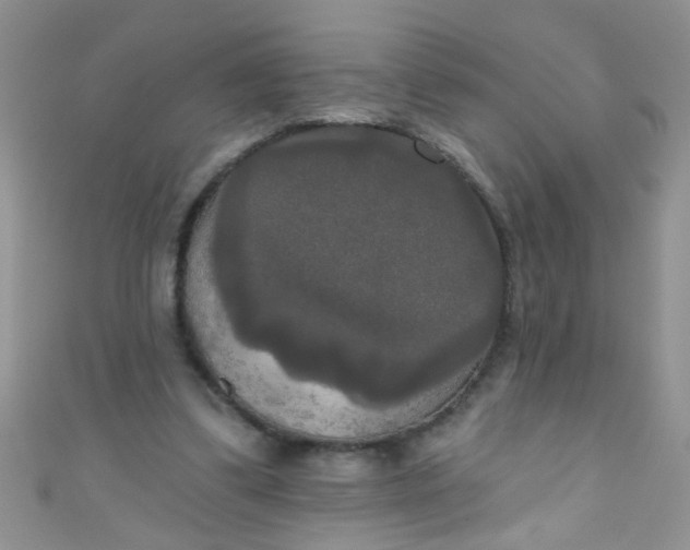 X0000111020299200907022204