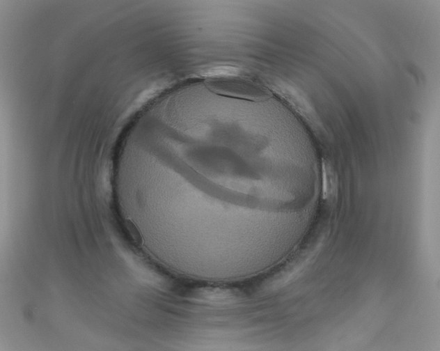 X0000111020300200907022204
