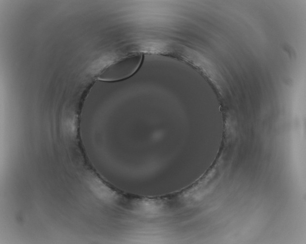 X0000111020305200907022204