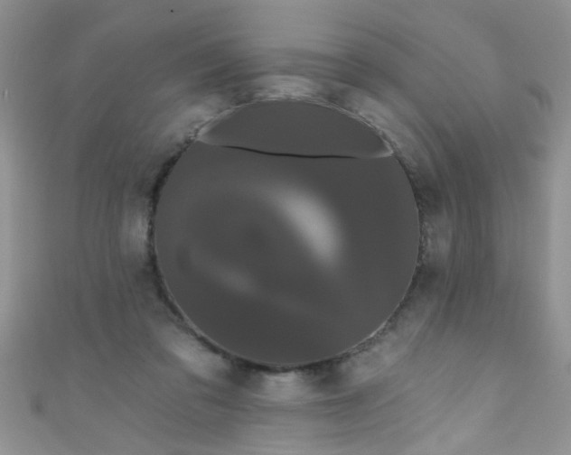 X0000111020309200907022204