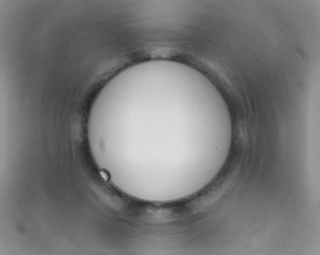 X0000111020311200907022204