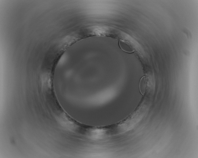 X0000111020313200907022204