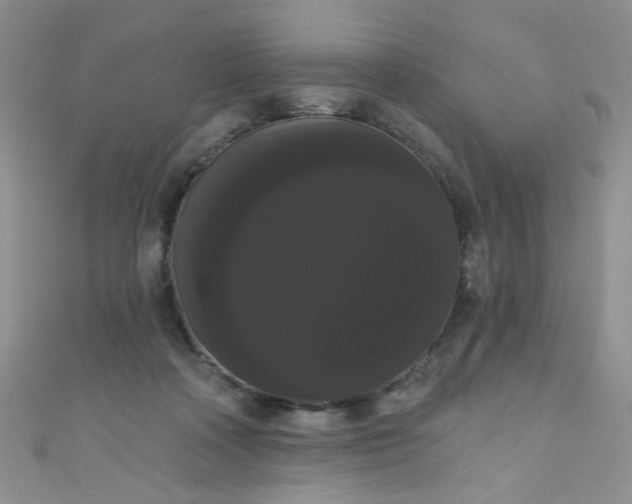 X0000111020314200907022204