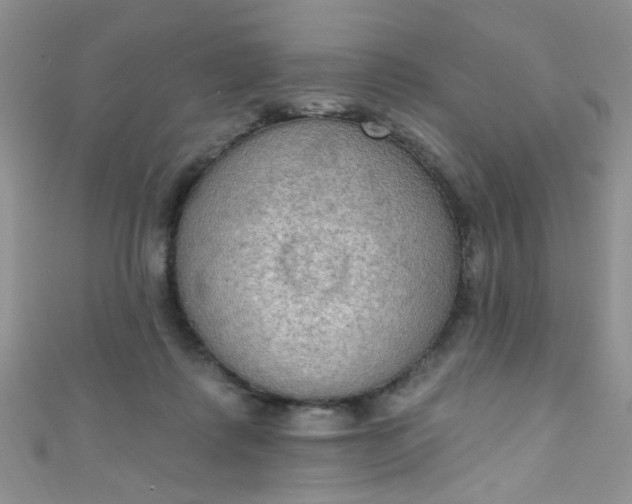 X0000111020315200907022204
